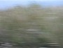 1145 MVI.AVI