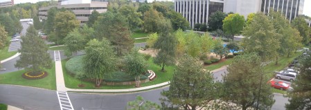 Office_View.jpg