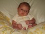 IMG 0724