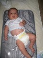 IMG 0838
