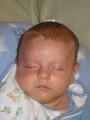 IMG 0877
