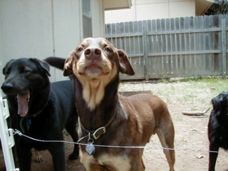 011-House_Hershey.jpg