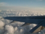 095-Plane Wing