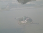 128-Turbo Prop Statue of Liberty