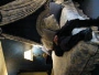 083-Our Room.avi