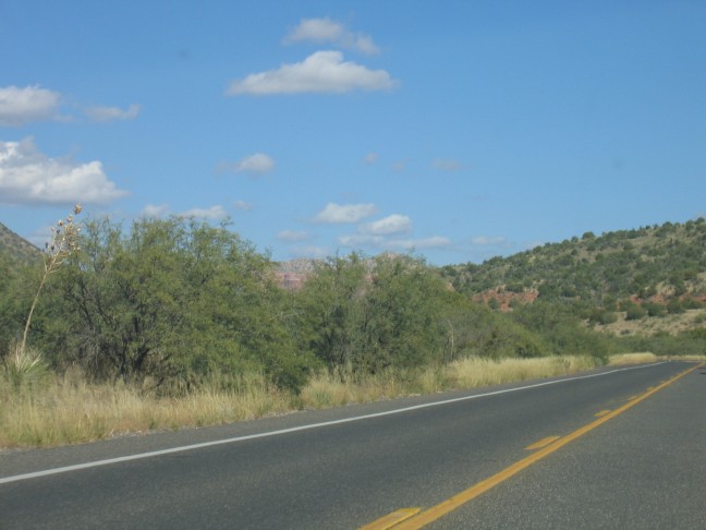 0815_IMG.jpg