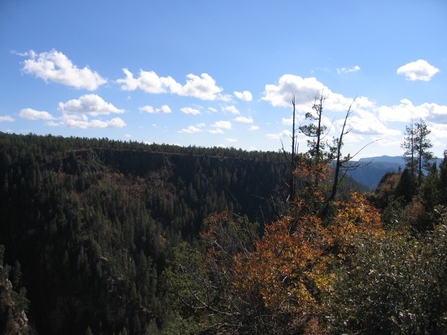 0822_IMG.jpg