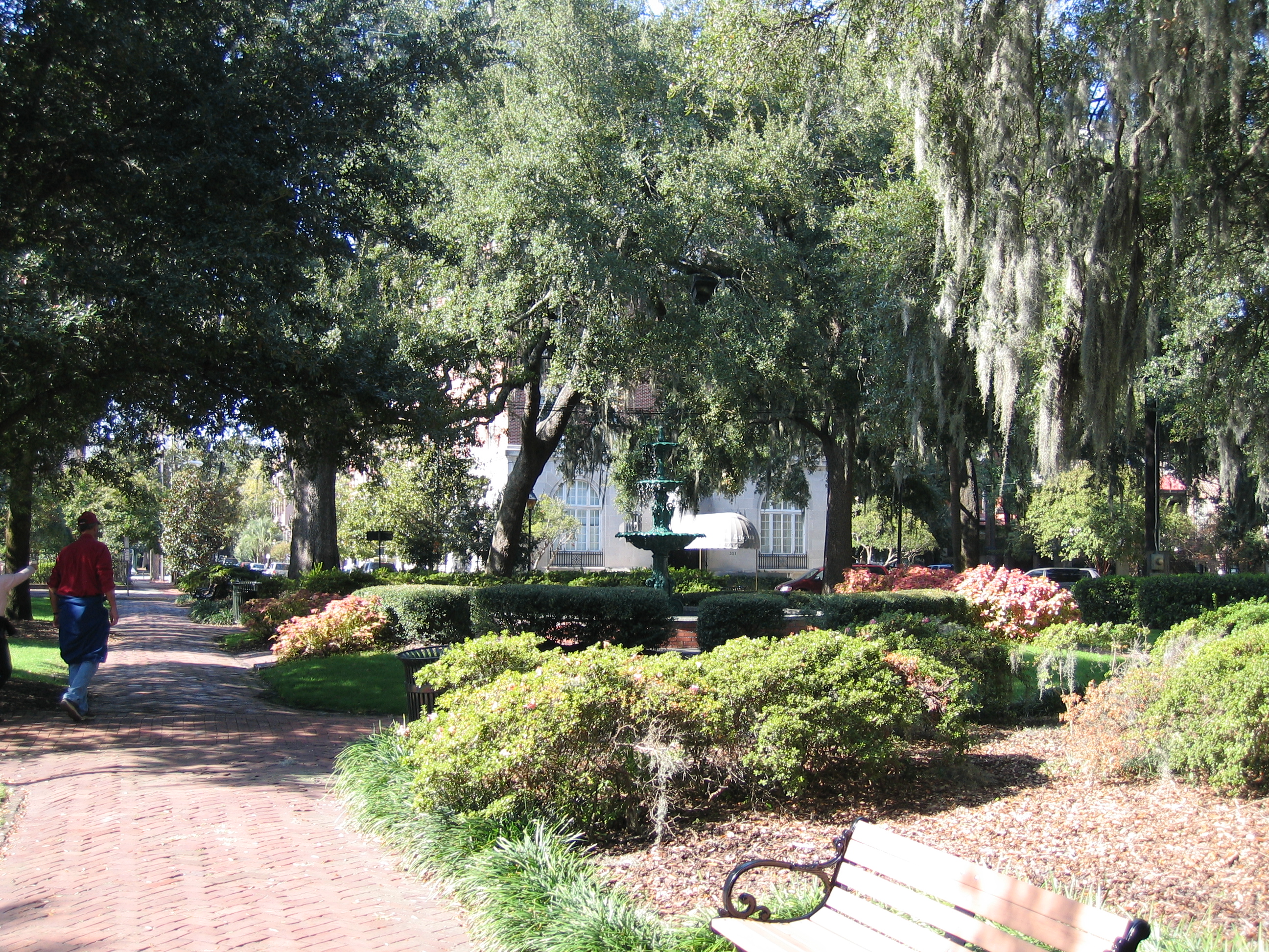 1137_IMG.JPG