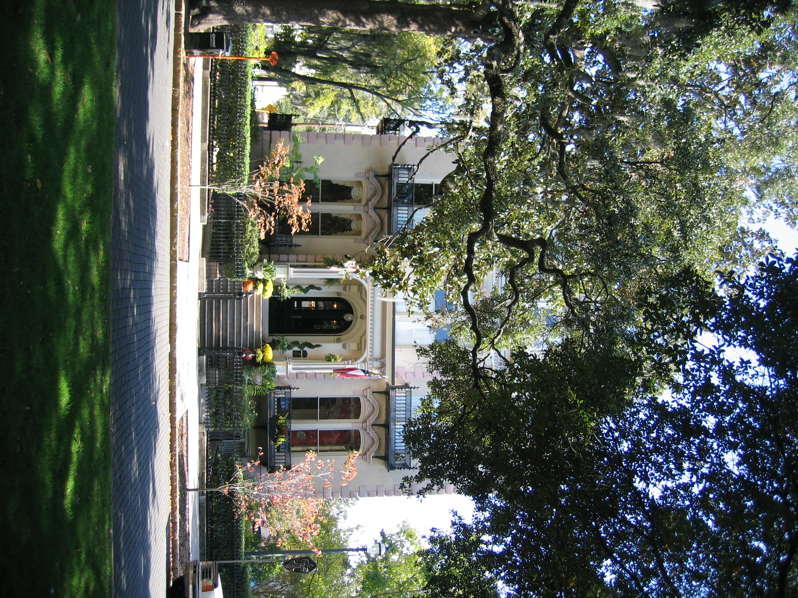 1138_IMG.JPG