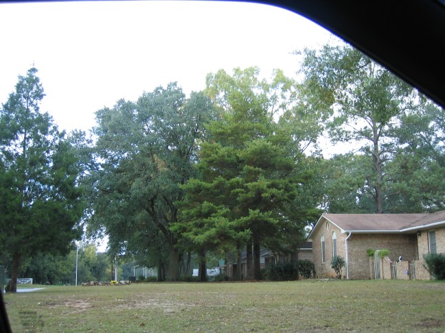 1151_IMG.jpg