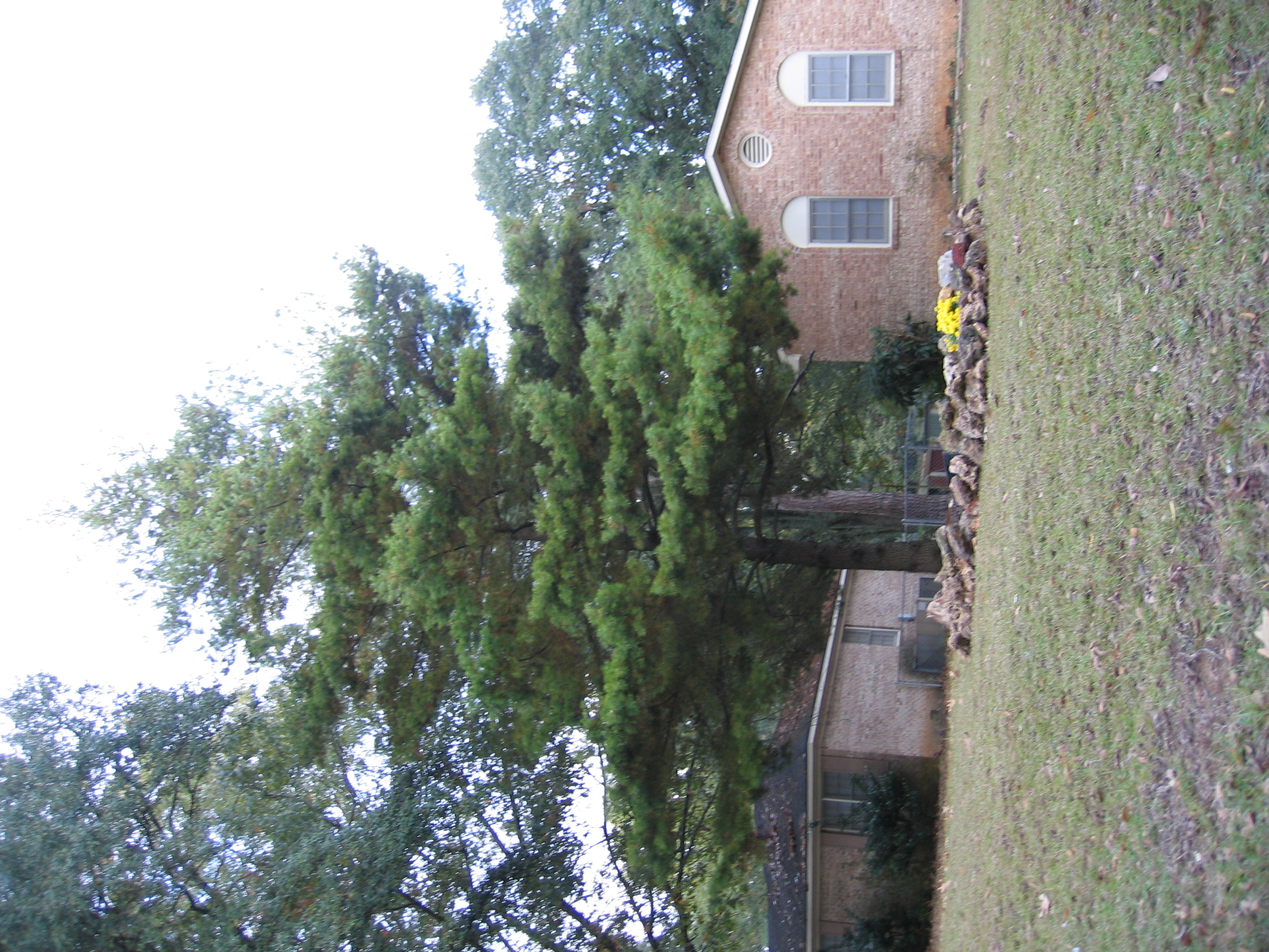 1153_IMG.JPG