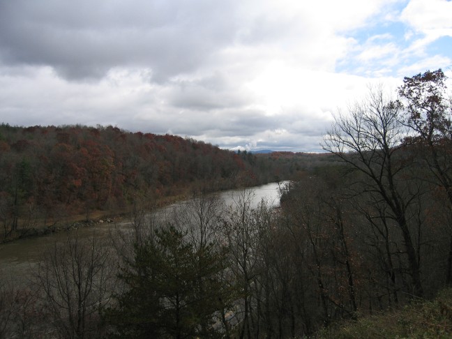 1156_IMG.jpg