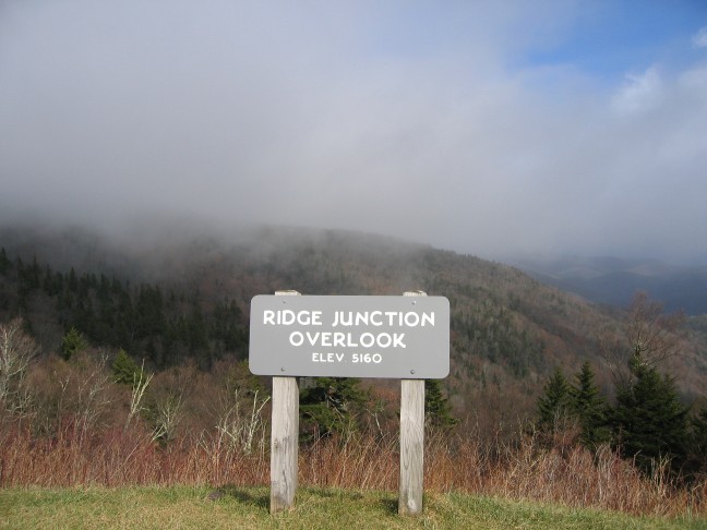 1166_IMG.jpg