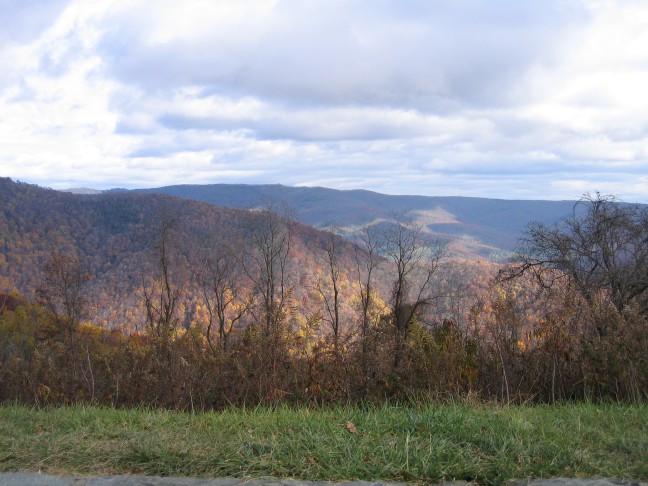 1189_IMG.jpg