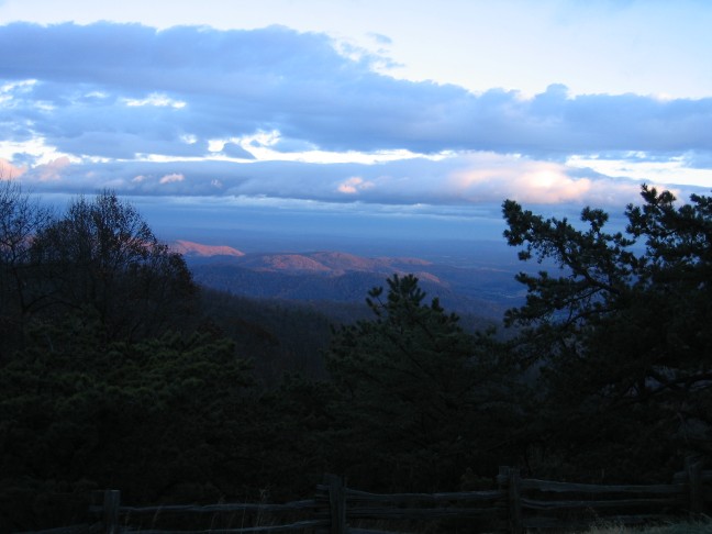 1237_IMG.jpg