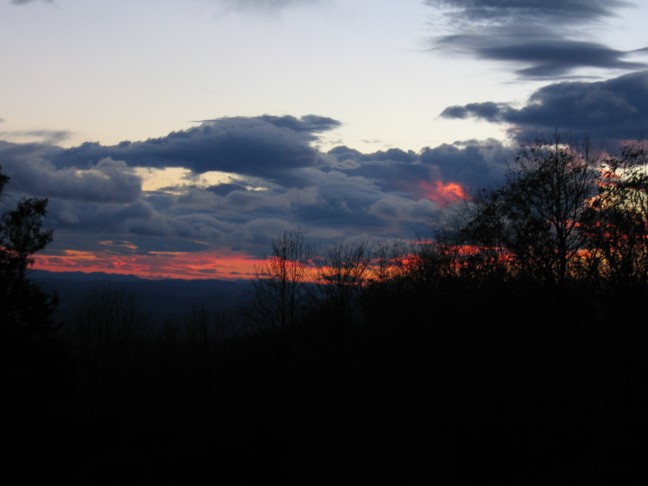 1251_IMG.jpg