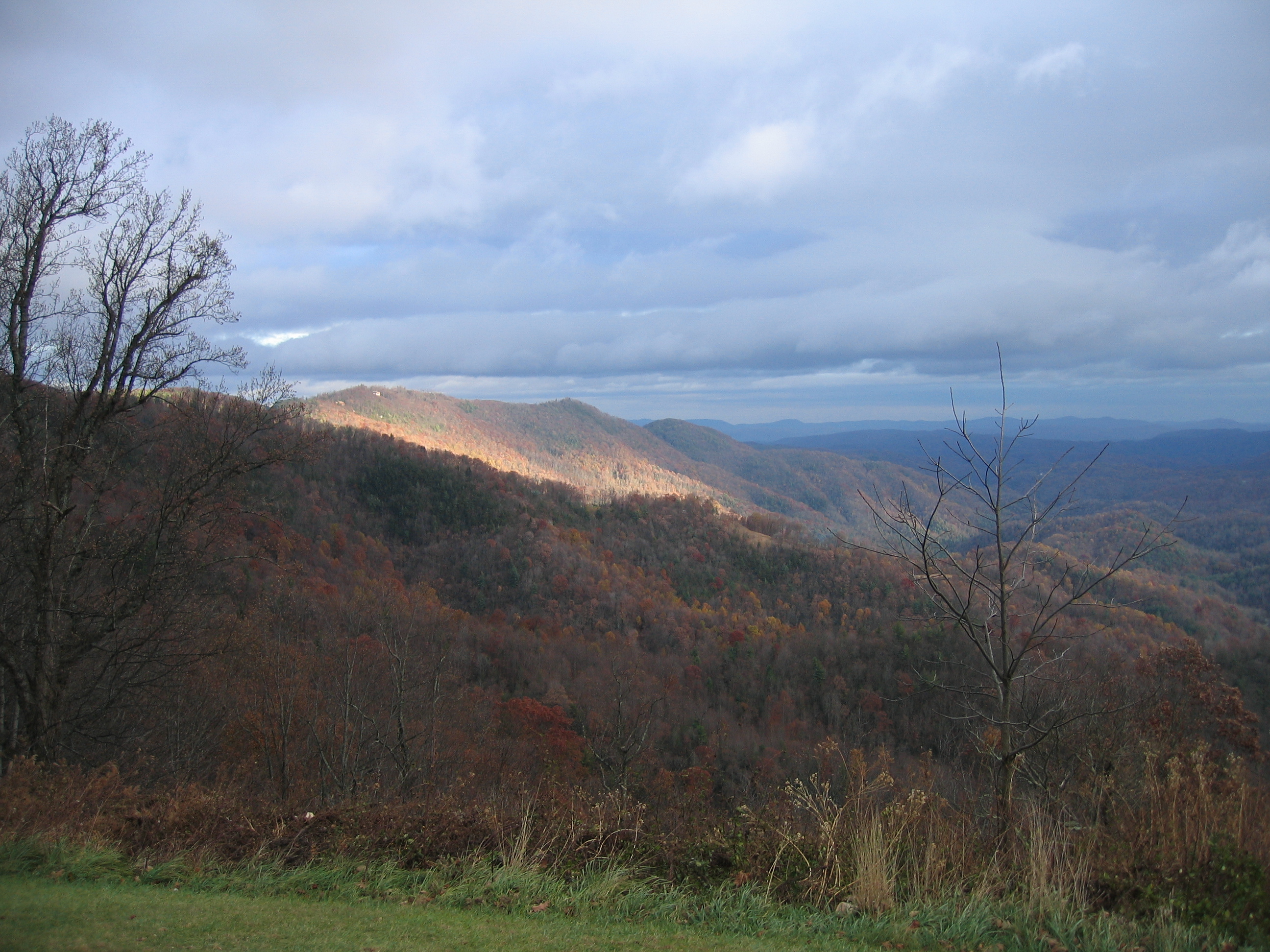 1214_IMG.JPG