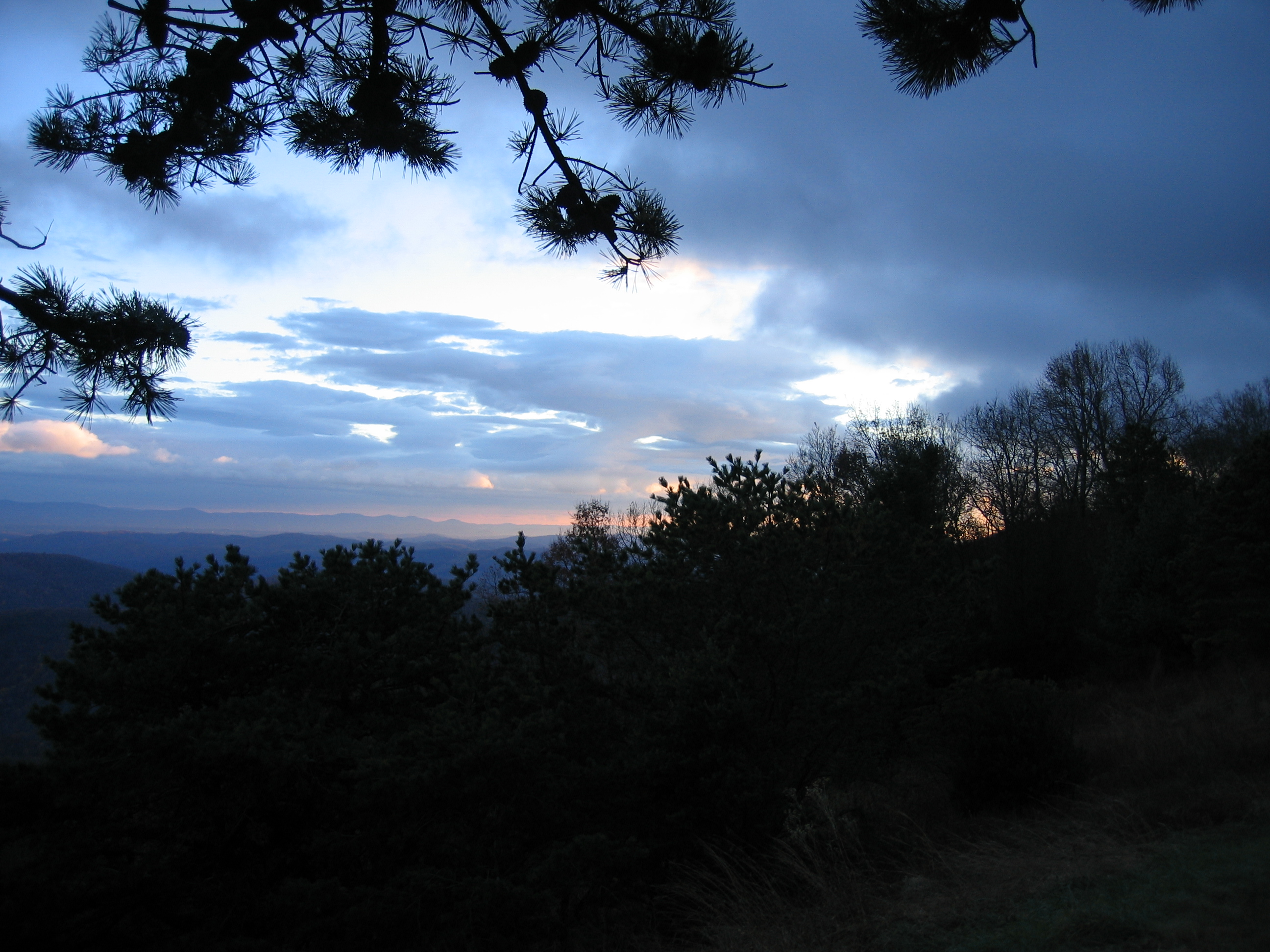 1239_IMG.JPG